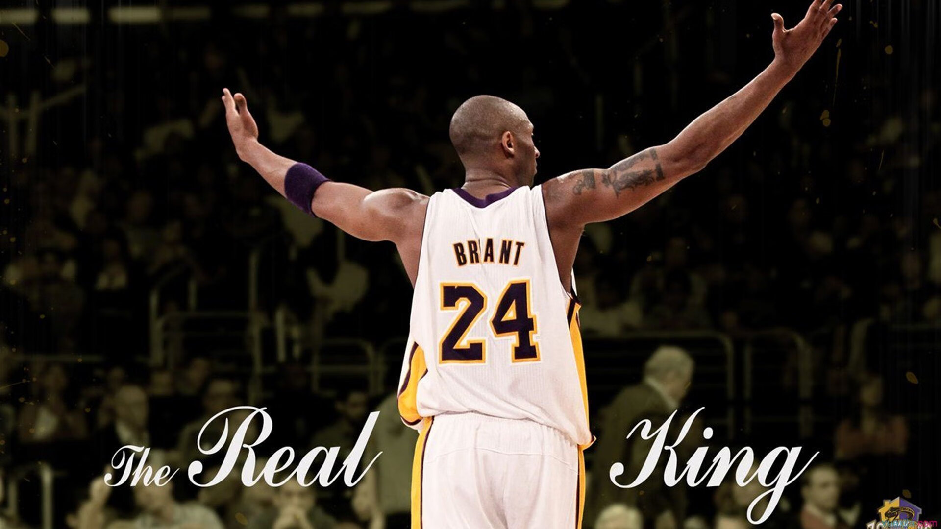 体育慈善盛典圆满落幕,明星运动员携手助力贫困地区儿童教育